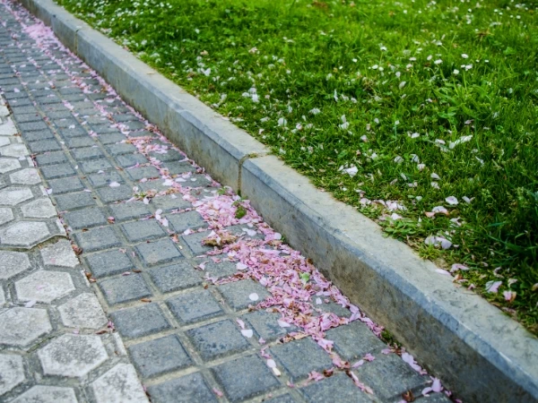Bó vỉa – Đan rãnh